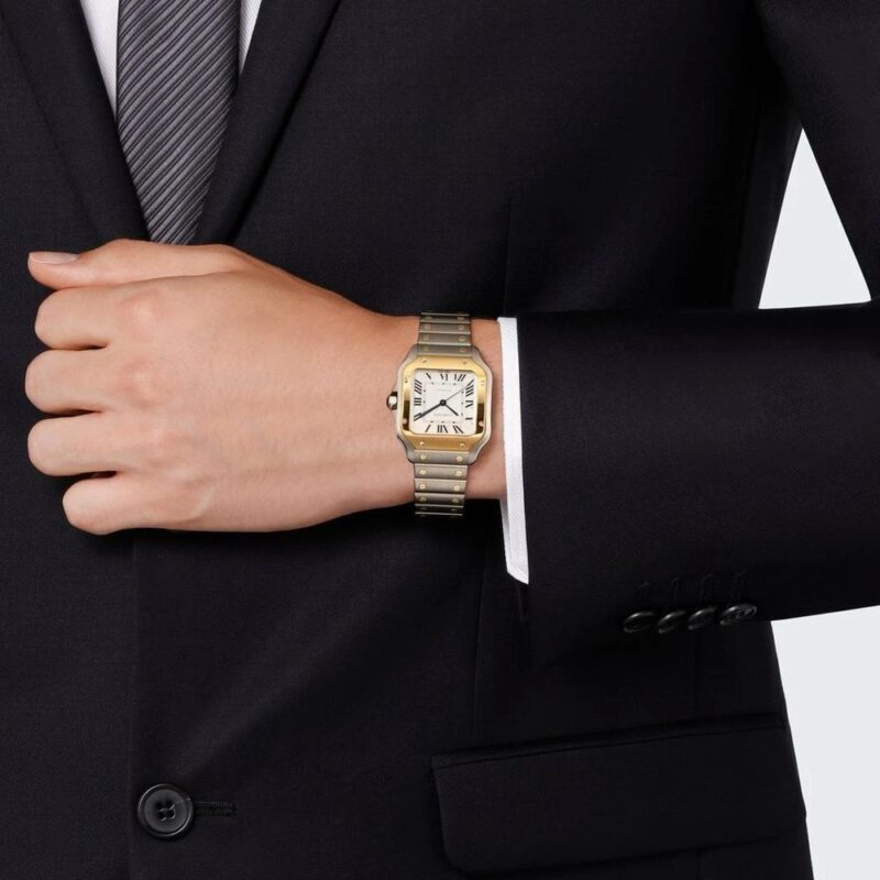 Cartier SANTOS MEDIUM SILVER 13