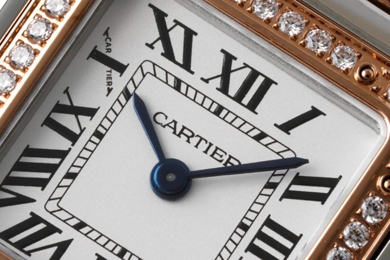 Cartier Panthère de Cartier Small 8