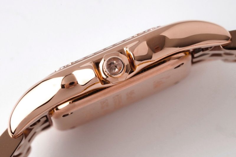 Cartier Panthère de Cartier Small 9