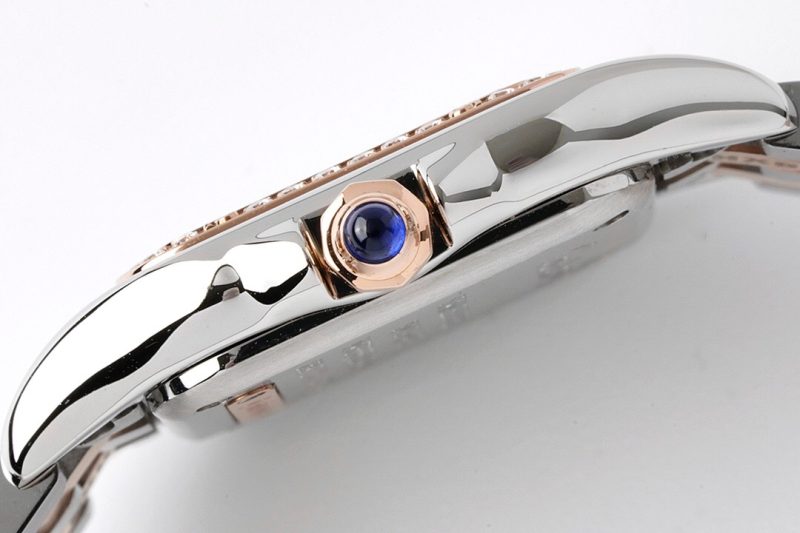 Cartier Panthère de Cartier Small 11