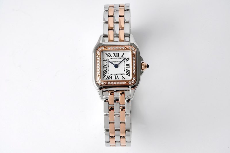 Cartier Panthère de Cartier Small 6