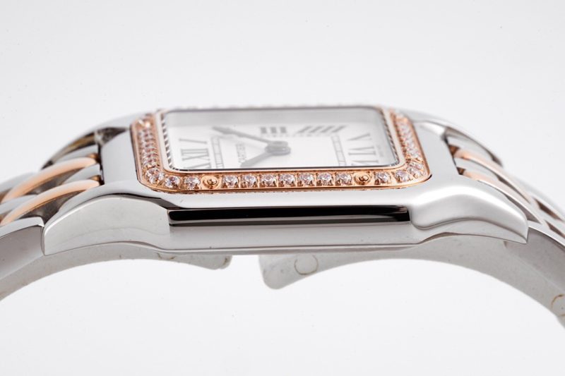 Cartier Panthère de Cartier Medium 10
