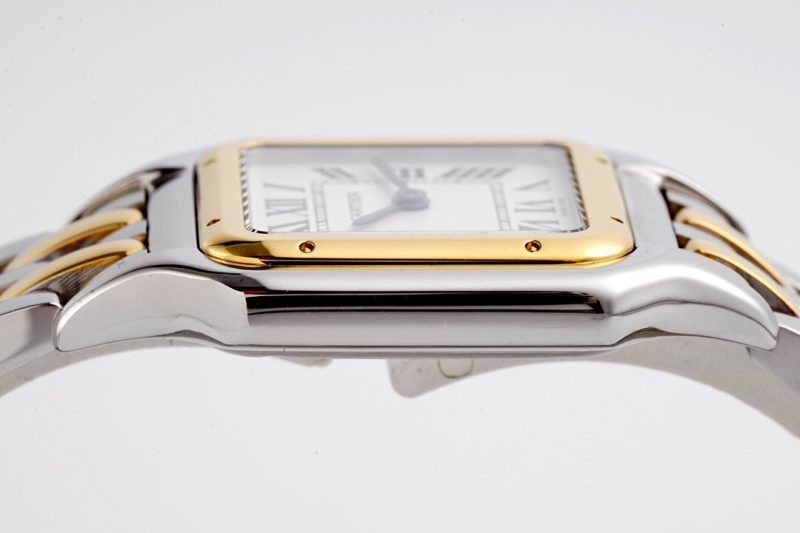 Cartier Panthère de Cartier Medium 8