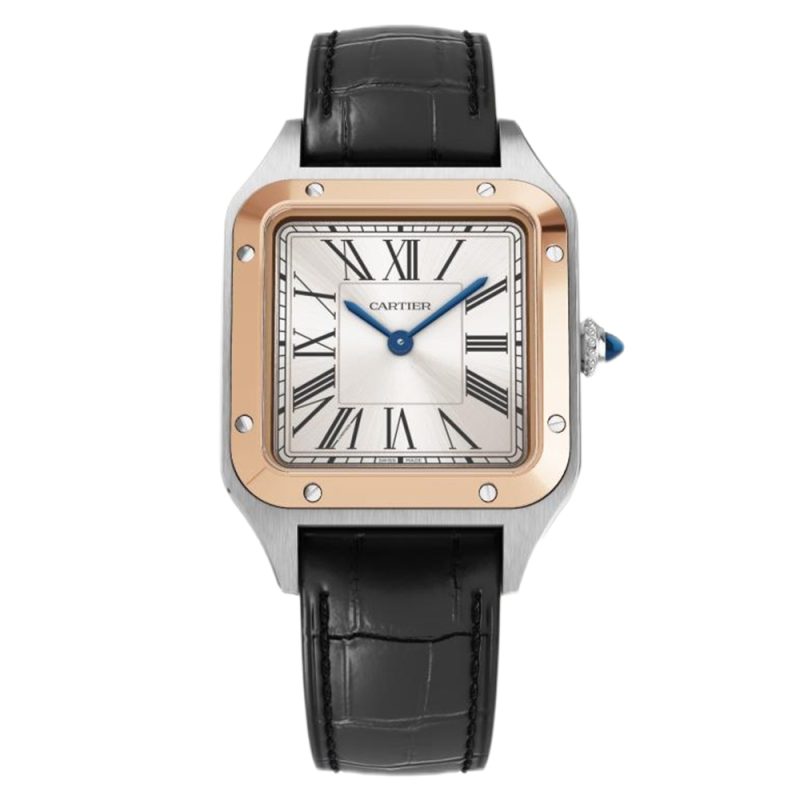 Cartier Santos Large/Small Quartz 2
