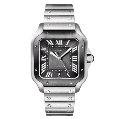 Cartier Santos WSSA0037 Large