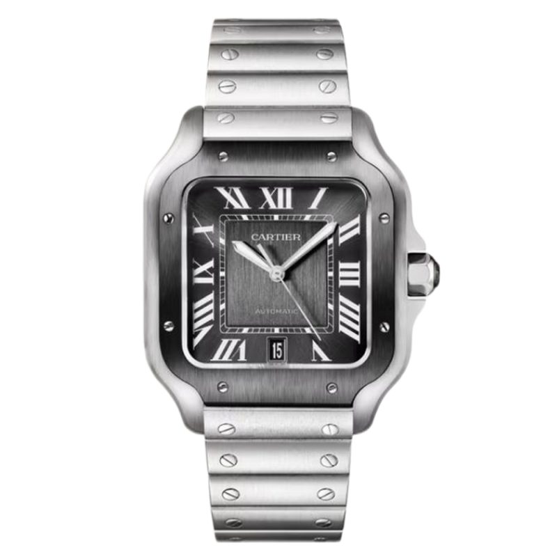 Cartier Santos WSSA0037 Large