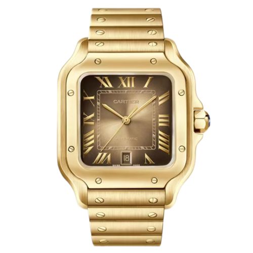 Cartier Santos WGSA0095 Large