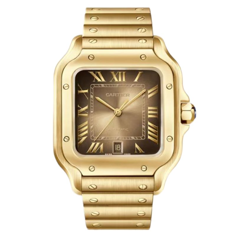 Cartier Santos WGSA0095 Large
