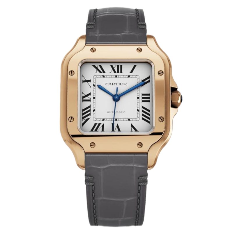 Cartier Santos Large/Medium 2