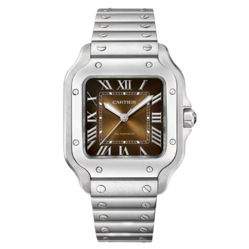 Cartier Santos WSSA0065 Medium