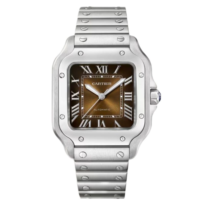Cartier Santos WSSA0065 Medium