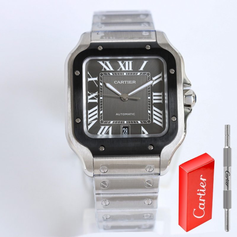Cartier Santos WSSA0037 Large 2