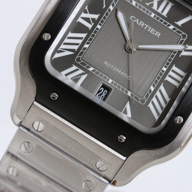 Cartier Santos WSSA0037 Large 6
