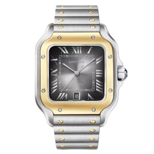 Cartier Santos W2SA0030 Large
