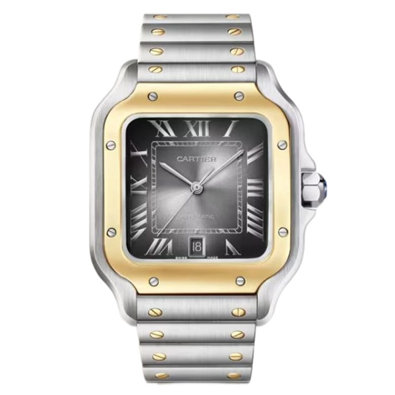 Cartier Santos W2SA0030 Large 2