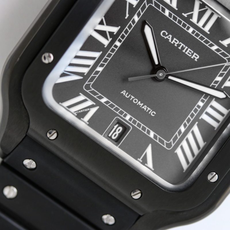 Cartier Santos WSSA0039 Large 5