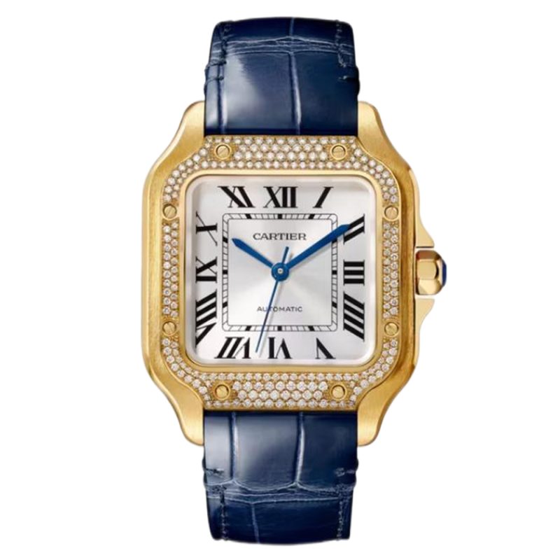 Cartier Santos Medium With Diamond 6