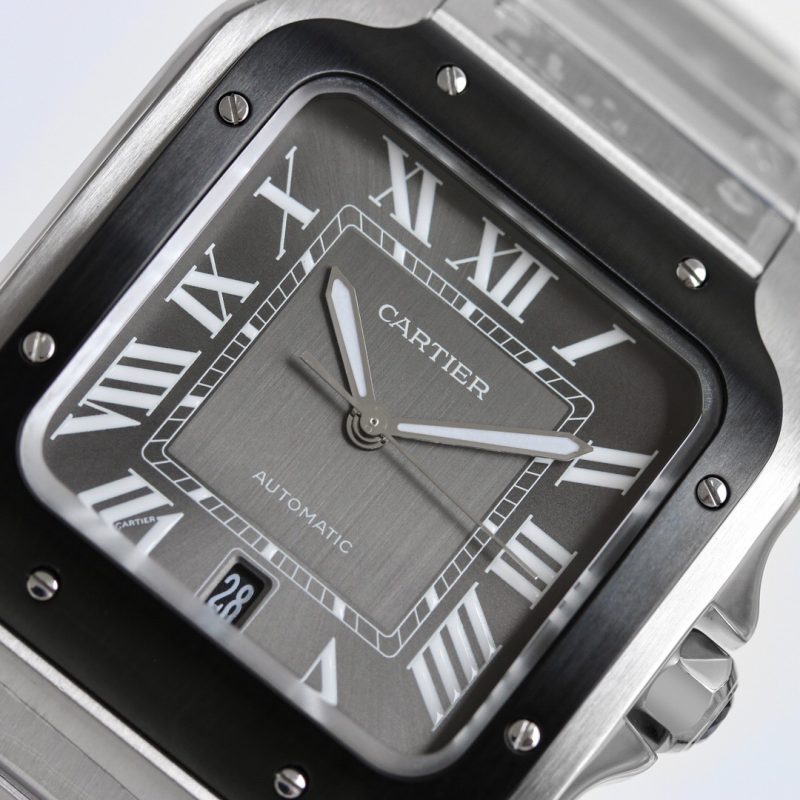 Cartier Santos WSSA0037 Large 5