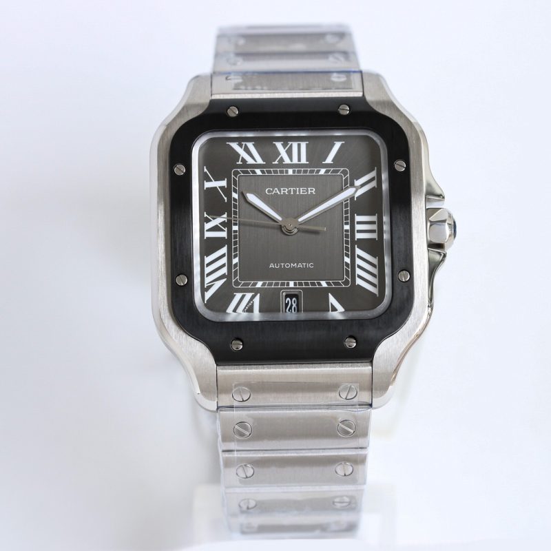 Cartier Santos WSSA0037 Large 3