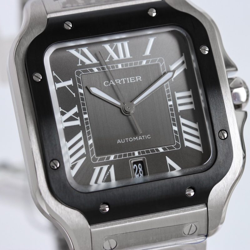 Cartier Santos WSSA0037 Large 7