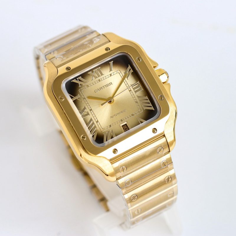 Cartier Santos WGSA0095 Large 2