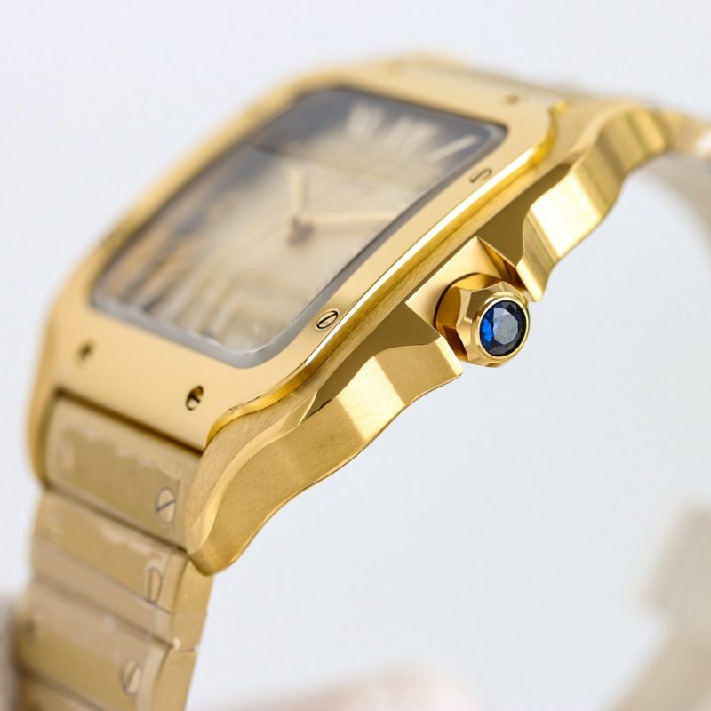 Cartier Santos WGSA0095 Large 5